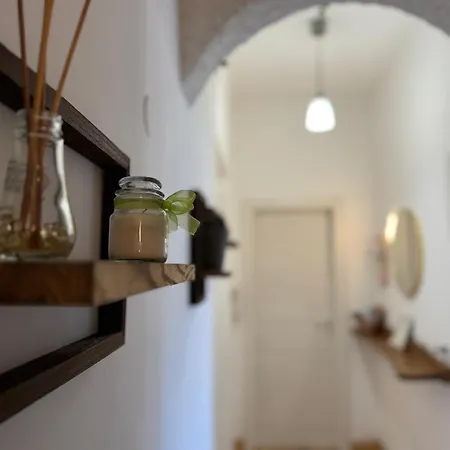 Zenzone House Apartment